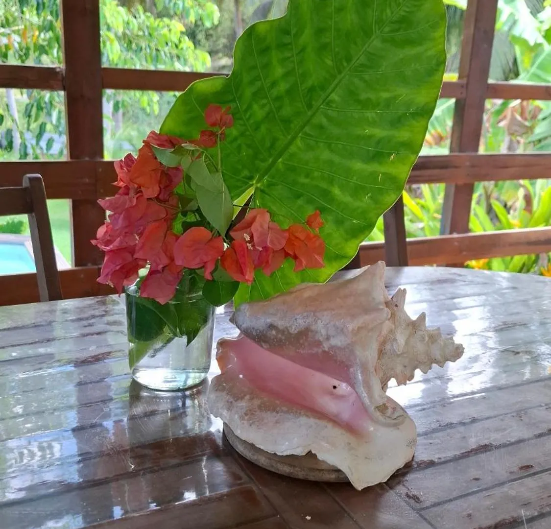 Le Havre Du Voyageur - Le Balaou Villa Le Moule Guadeloupe