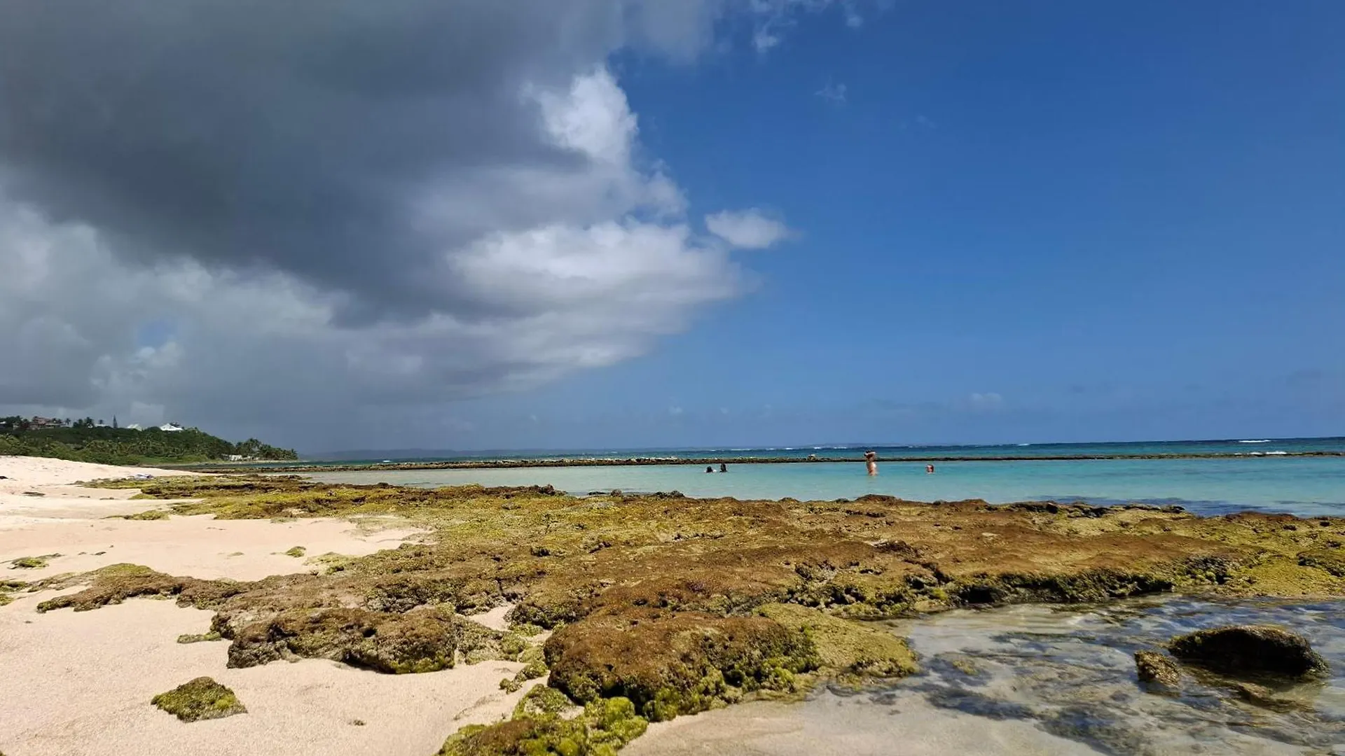 Le Havre Du Voyageur - Le Balaou Villa Le Moule Guadeloupe